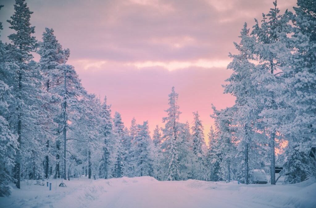 Nieve