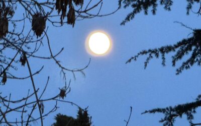 Full Moon in December